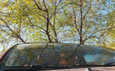 Pourquoi le pare-brise d'une voiture est-il incliné ?